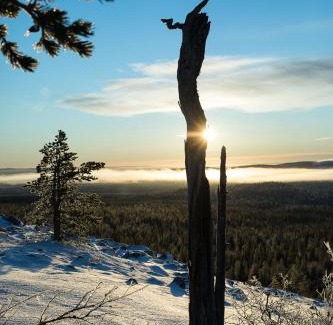Yllas Apartment | Ylläs with a view