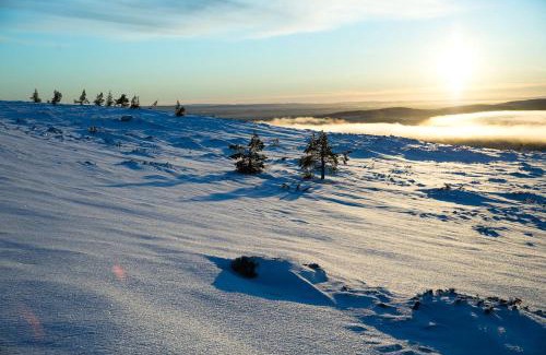 Yllas Apartment | Ylläs with a view