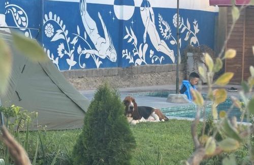 Uzbekistan Other | YO Guesthouse