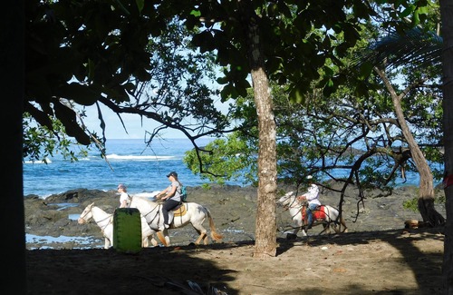 Playa Negra House | You Imagine Costa Rica Our Location Being on the Beach is What You Imagine