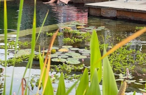 Laxfield Cabin | You've found it! Pedro's Shed. A hidden Gem in Suffolk! With Pool.