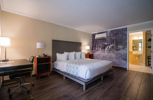 Ocala Hotel | Your Comfort in Mind! Free Parking & Breakfast, Seasonal Pool, Pets are Welcome!