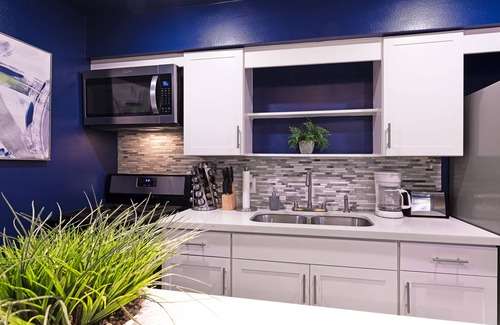 Hyde Park Apartment | Your Montrose Studios! Sleeps 50/25BR/25BA/25PA