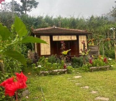 Bedugul Cabin | Yucan eco stay