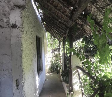 Lamu Bed & Breakfast | Yumbe House Garden