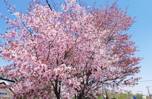 Noboribetsu Apartment | YUUYU Noboribetsu Onsen, Bear Ranch, Date Jidai Mura