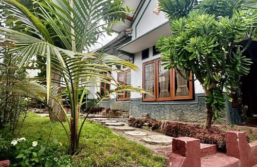 Banyuwangi Hostel | Z Ijen Hostel