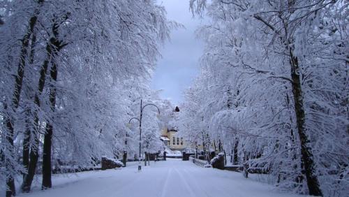 Leba Resort | Zamek Łeba Resort & Spa