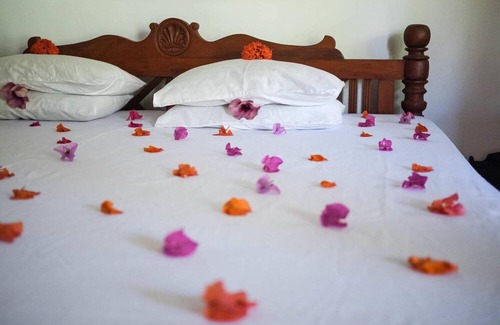 Balapitiya Hotel | Zapo Villa
