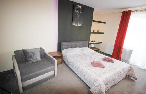 Tirgu Mures Apartment | Zara Apartament 2