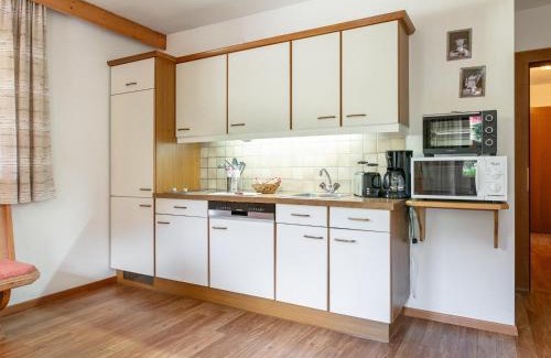 Alpbach Apartment | Zellner Top 4 und 5
