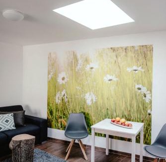 Brno-stred Apartment | Zelný trh 40