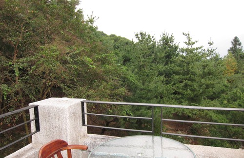Shuili Hotel | Zen and Pine Resort