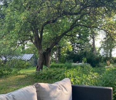 Jogeva County House | Zen Garden House