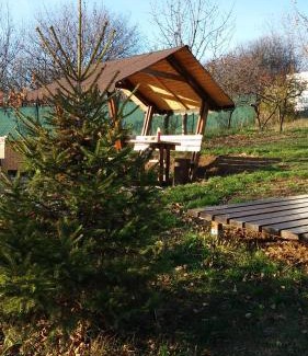 Oradea Other | Zen Garden