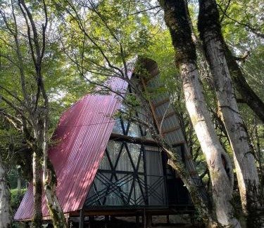 Tsqaltubo Ski Chalet | Zen