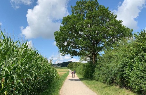 Starnberg House | Zimmer mit Bergblick