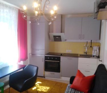 Traunstein Apartment | Zimmervermietung am Stadtplatz/BHF 8 min/A8