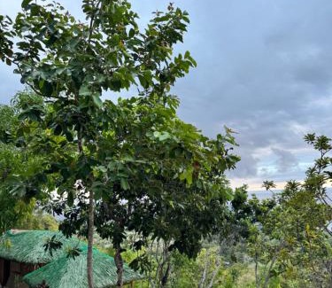 Oslob Other | Zion View Point and Campsite