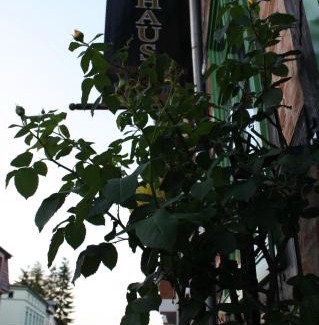 Parchim Hotel | "Zum Heiligen Geisthof"