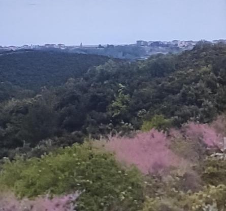 ΠΑΝΟΡΑΜΑ