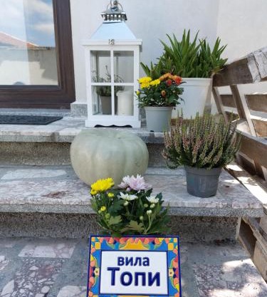 вила Топи