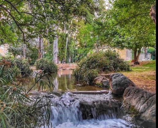 דירת אירוח כפרי בלב קריית שמונה