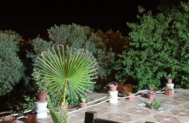 اقامة الفلاح