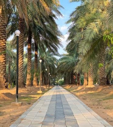 منتجع كسب