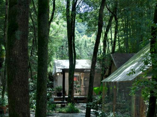 景德镇树园心舍民宿 Forest Haven B&B