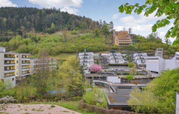 1 bedroom accommodation in Hornberg