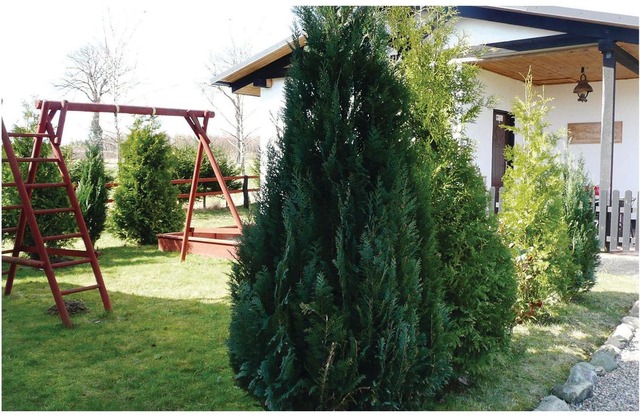 1 bedroom accommodation in Slawno
