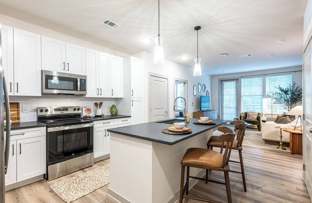 1 Bedroom Apartment-Across the River from Neyland Stadium-2523