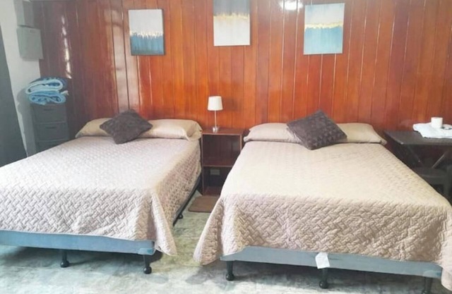 1 Comfy Dual: Convenience & Comfort Galore & 2 Nice and comfortable central apt
