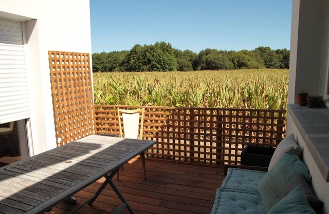 150m² house with heated swimming pool South of the Landes near the beaches