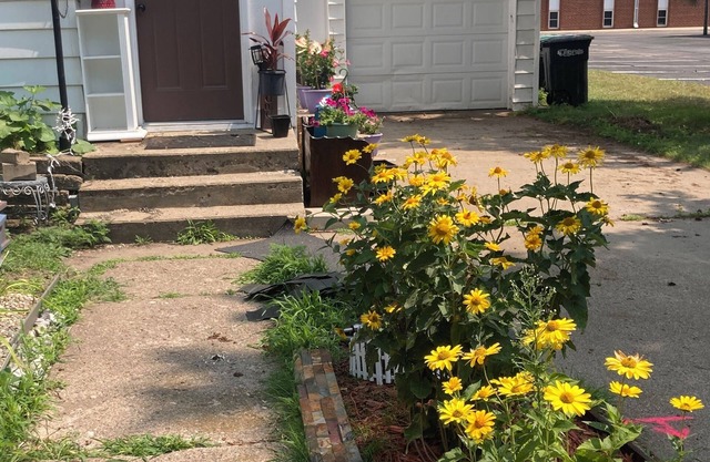 1888 LFalls Gem with Great Location. 3BR, 1BA, Comfy, Modern Kit, WiFi, Big Yard