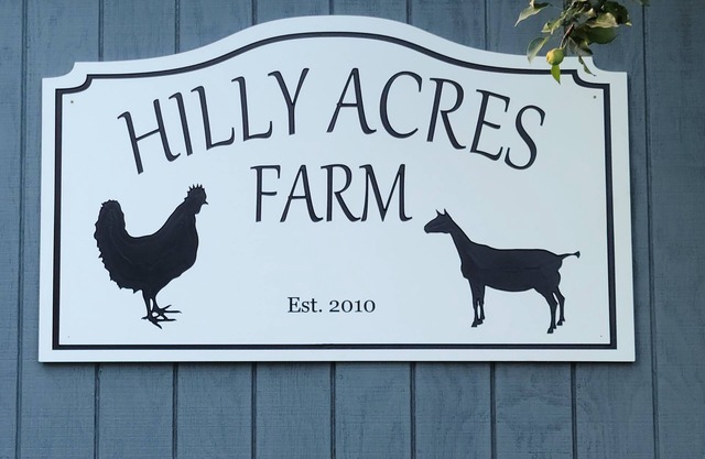 1B/1B Apt. on Hobby Farm 🐔 🐐 in Bristol. 5 minutes from Newfound Lake