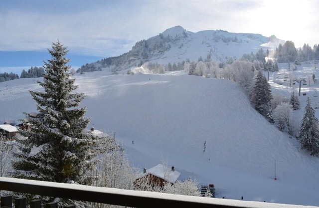 1st floor, view ski slopes, balcony, parking, tv, ski locker, 22m², Le Grand Bornand