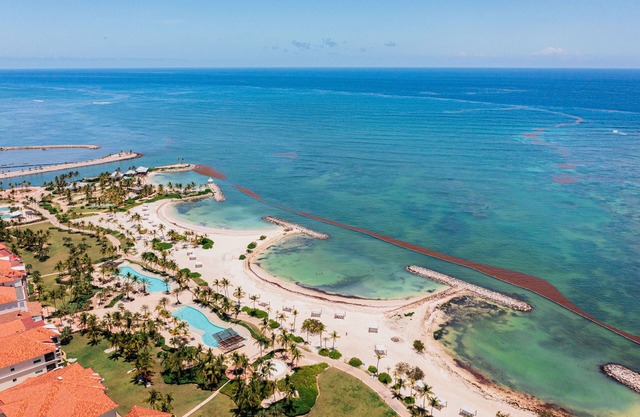 2 Bdrms Marina Front Condo, Aquamarina Cap Cana