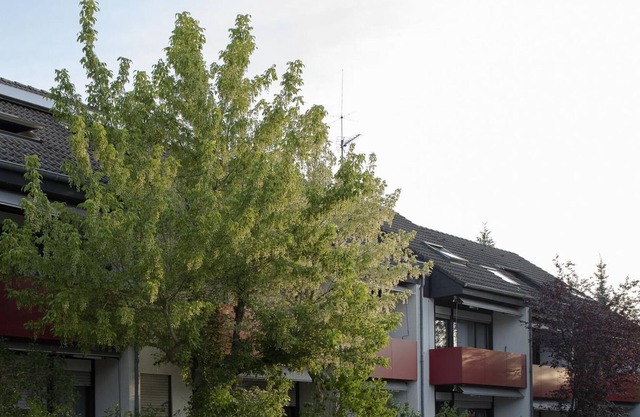 2-bed apartment 31m² - Haus Tannenhof