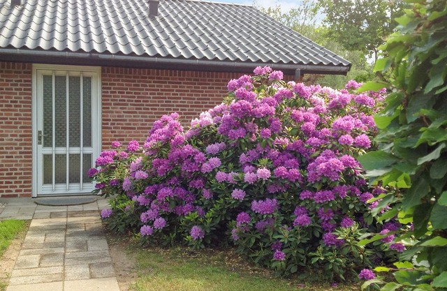 2 bedroom accommodation in Rørvig