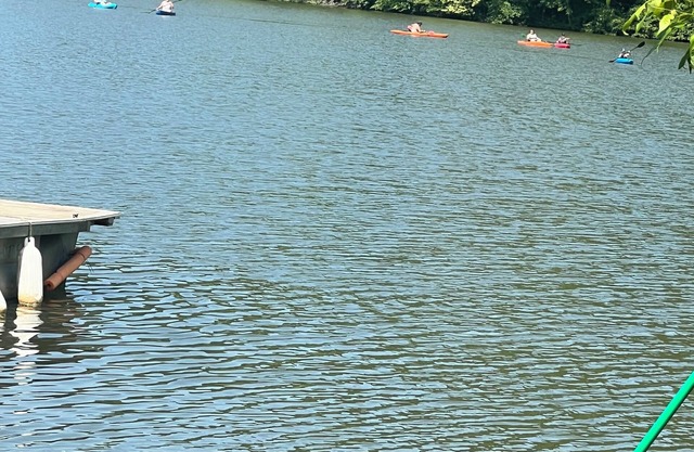 2-Bedroom Lake House on Watts Bar Lake outside Kingston, TN