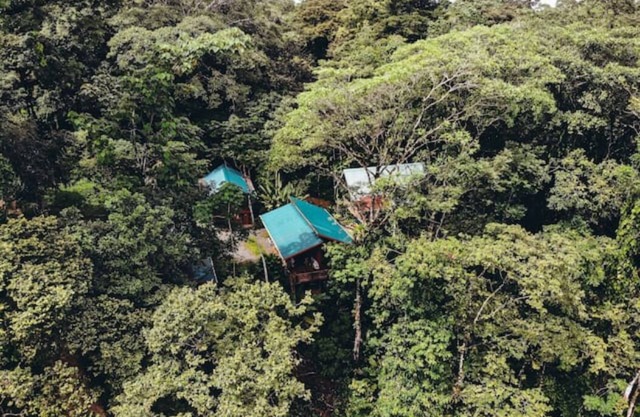 2 BR Cabin W Kitchen Steps from Paunch, Bocas' Best Surf Break