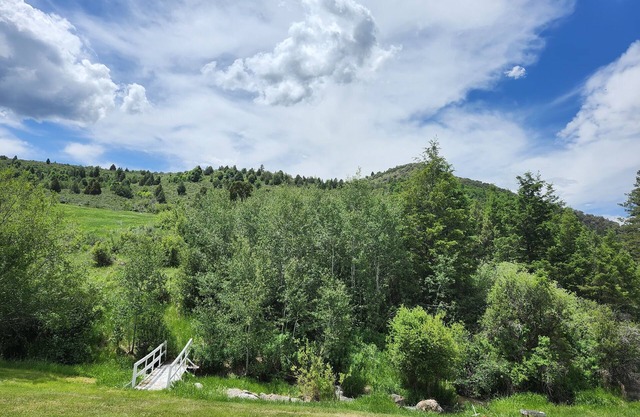 2 separate cabins, sleeps a total of 12, on 4 acres in Lava Hot Springs!