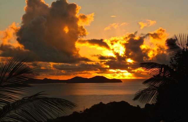 20% Off Oct 19-Nov 22! Here Comes the Sun