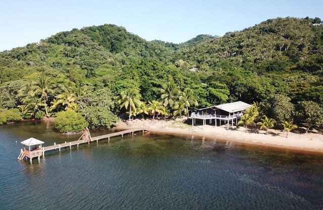 2BR Beach House Dolphin Views DAILY From LARGE DECK A/C Utilities INCL.