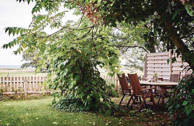 3 bedroom accommodation in Kivik