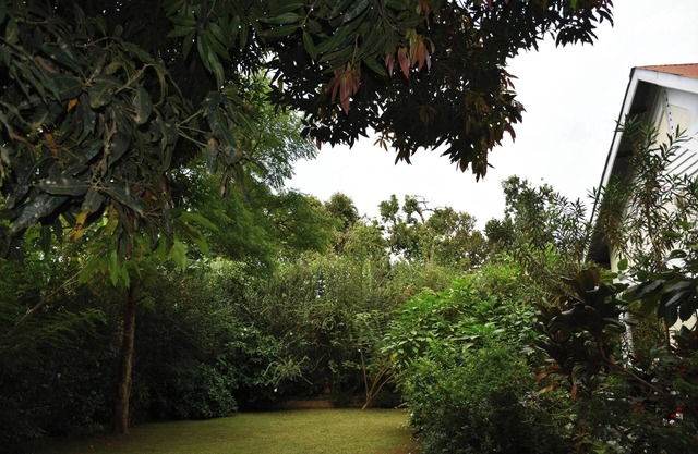 3-bedroom bungalow in charming Kampala with WiFi & accessible to many amenities