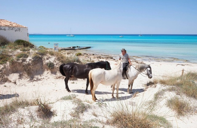 3 km de la playa d'es Trenc y de la Colonia de st Jordi