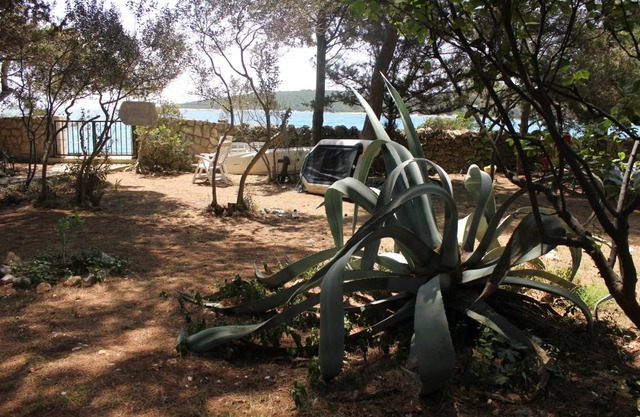 Beach Artatore Lošinj 